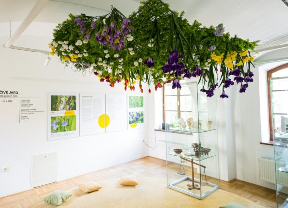 Léčivé jaro / 28.2.2025