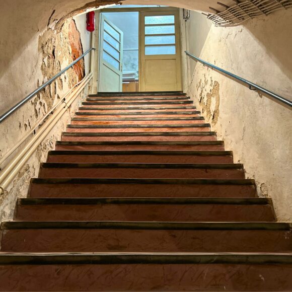 Otevřený depozitář