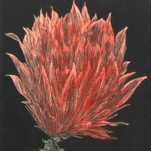 Byliny v básních Petra Bezruče